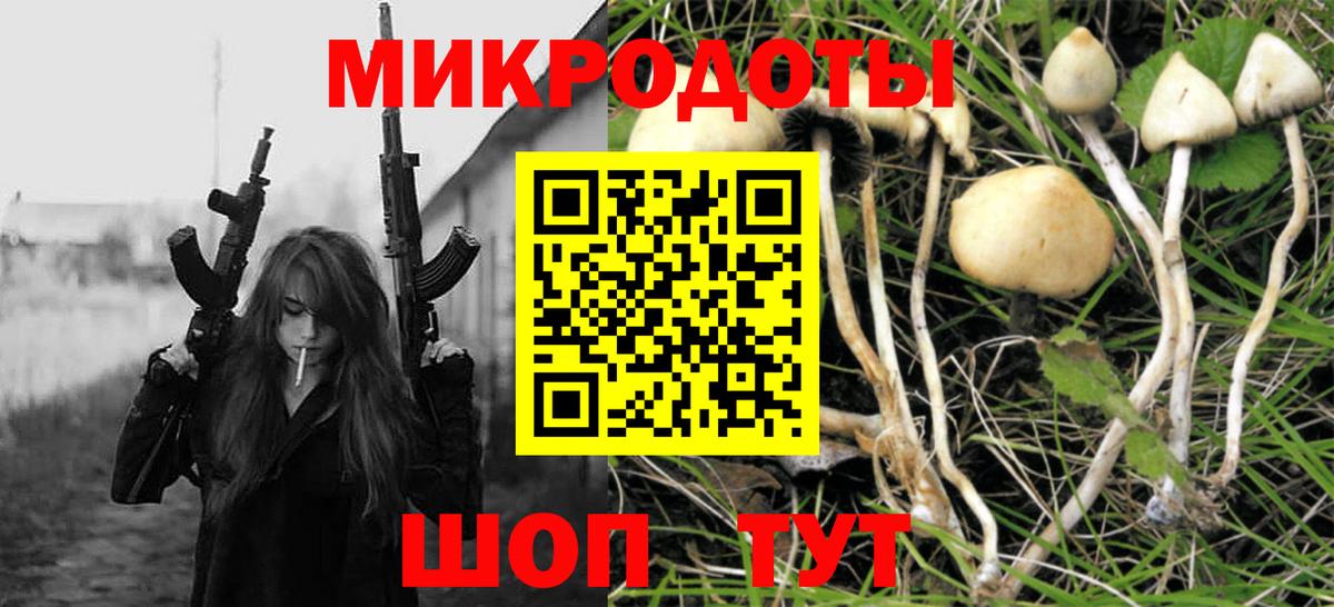 Галлюциногенные грибы Psilocybe Туапсе