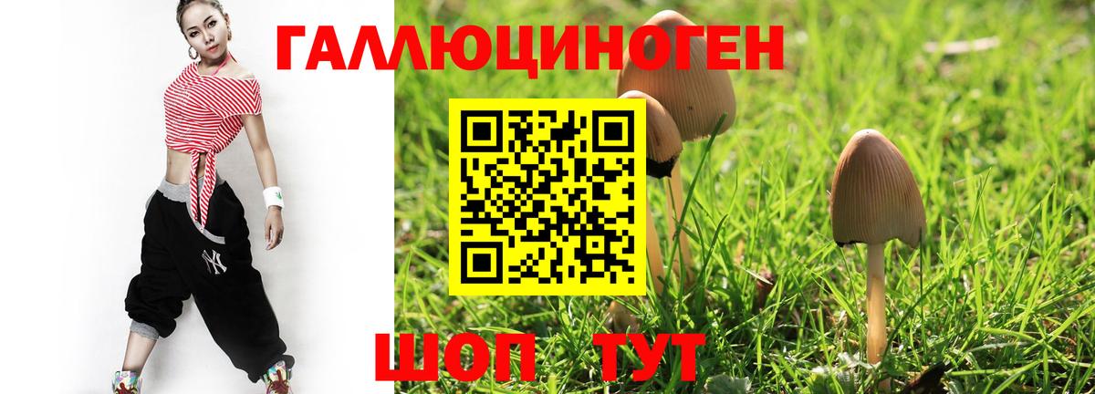 Псилоцибиновые грибы Cubensis  Вход с VPN  Псилоцибиновые грибы мицелий  Туапсе 